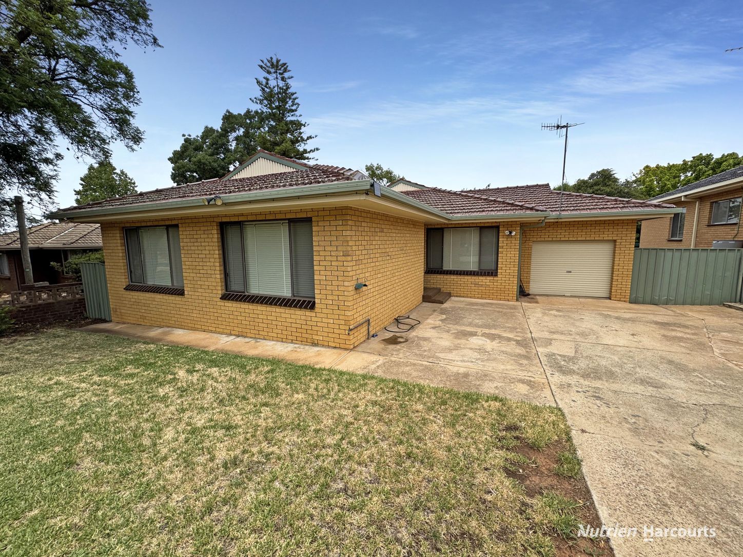 Auction this Saturday!